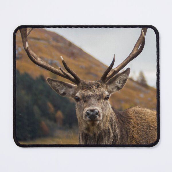 Item preview, Red Deer Stag with Antlers designed and sold by derekbeattie.
