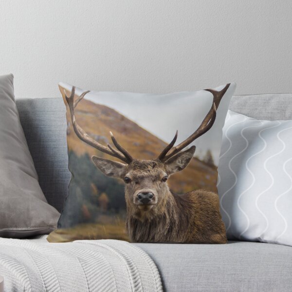 Item preview, Red Deer Stag with Antlers designed and sold by derekbeattie.