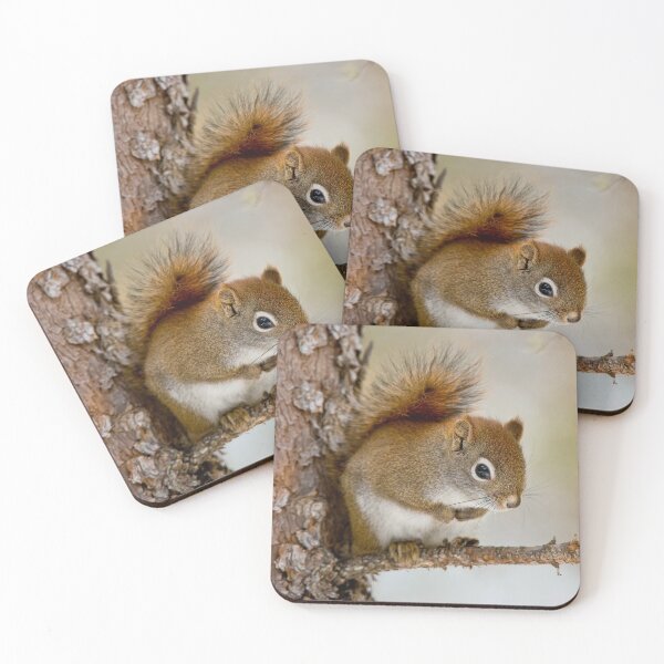 Item preview, Red Squirrel designed and sold by Michael Cummings.