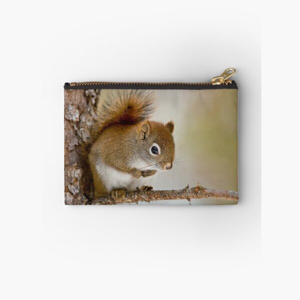 Item preview, Red Squirrel designed and sold by Michael Cummings.