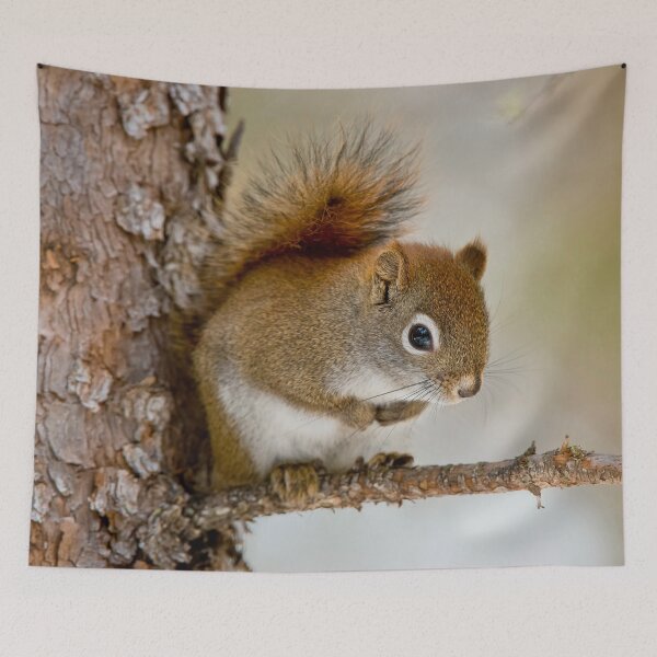 Item preview, Red Squirrel designed and sold by Michael Cummings.