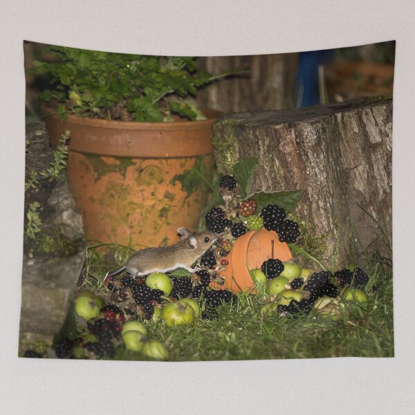Artikelvorschau, Waldmaus und Brombeeren entworfen und verkauft von Jane Stanley Photography.