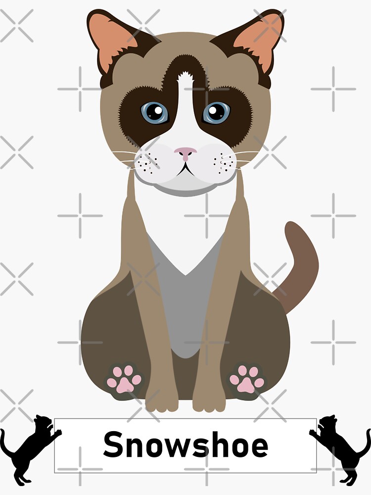 "Snowshoe Cat Breed Cartoon Art Style" Sticker by EdKid Redbubble