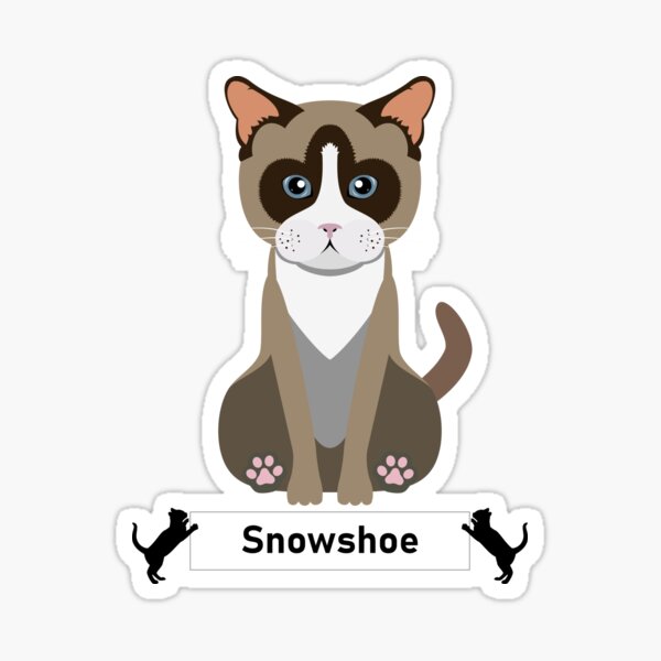 "Snowshoe Cat Breed Cartoon Art Style" Sticker by EdKid Redbubble