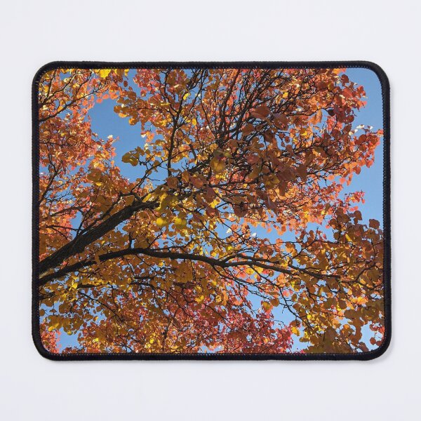 Item preview, Autumn Foliage designed and sold by HardToLevelUp.
