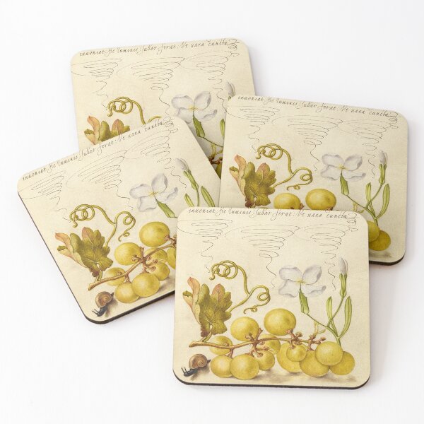 Item preview, Naturalist Manuscript: Grapes, Snail, and Calligraphy Illumination by Joris Hoefnagel designed and sold by Naturalist Prints.