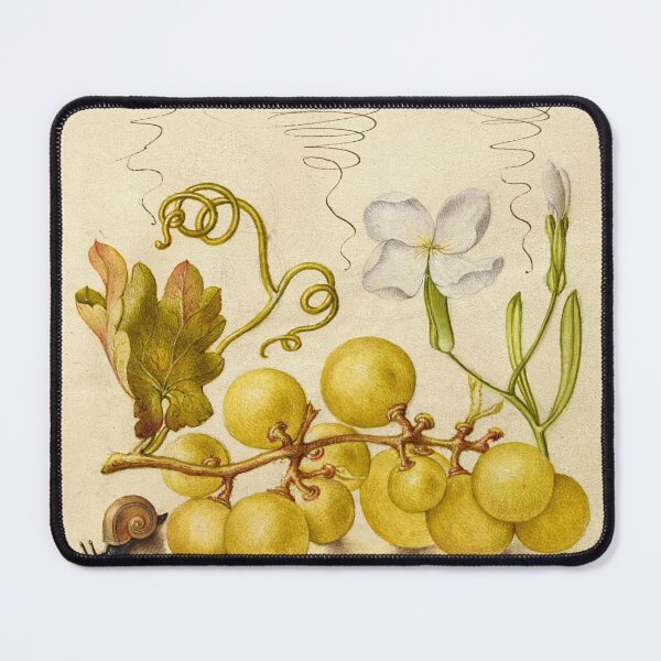 Item preview, Naturalist Manuscript: Grapes, Snail, and Calligraphy Illumination by Joris Hoefnagel designed and sold by Naturalist Prints.