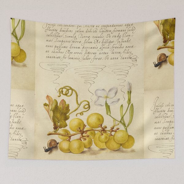 Item preview, Naturalist Manuscript: Grapes, Snail, and Calligraphy Illumination by Joris Hoefnagel designed and sold by Naturalist Prints.