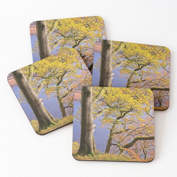 Item preview, Autumn Trees at Ullswater in the English Lake District designed and sold by Martyn R Arnold Fine Art Nature & Landscape Photography.