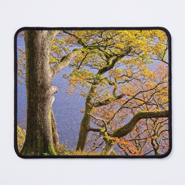 Item preview, Autumn Trees at Ullswater in the English Lake District designed and sold by Martyn R Arnold Fine Art Nature & Landscape Photography.