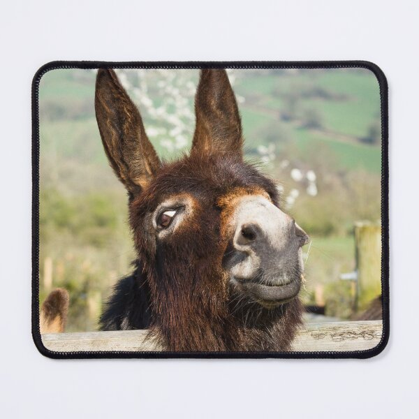 Item preview, Doc the Donkey designed and sold by Jane Stanley Photography.
