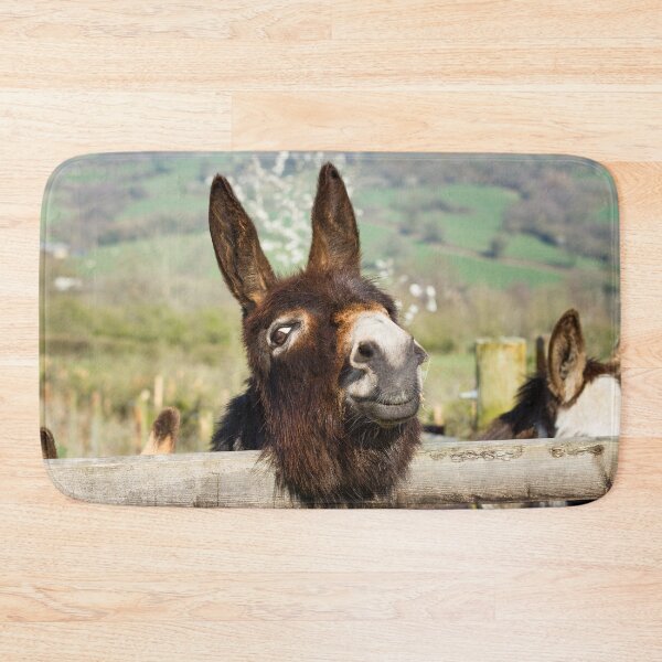 Item preview, Doc the Donkey designed and sold by Jane Stanley Photography.