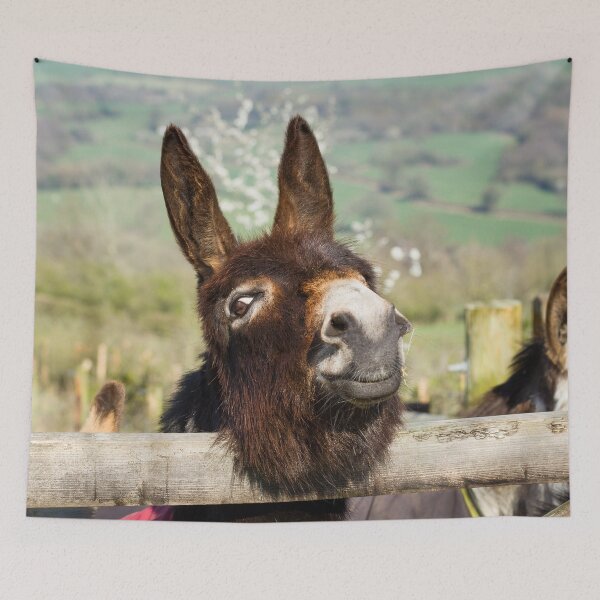 Item preview, Doc the Donkey designed and sold by Jane Stanley Photography.