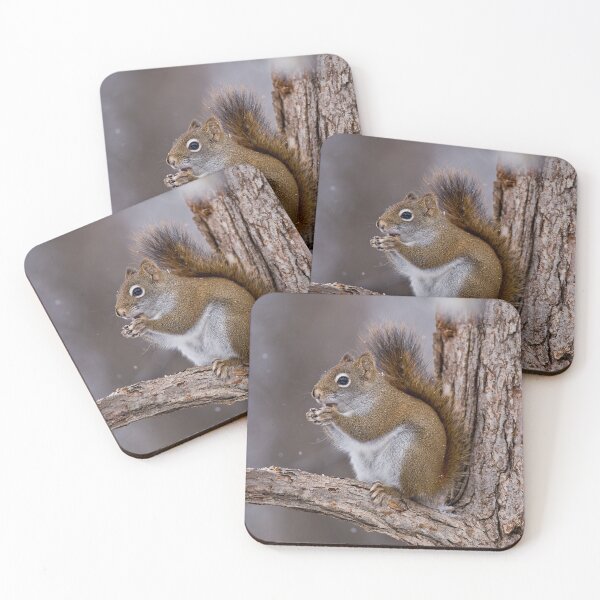 Item preview, Red Squirrel designed and sold by Michael Cummings.