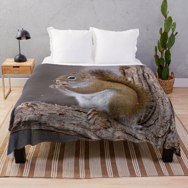 Item preview, Red Squirrel designed and sold by Michael Cummings.