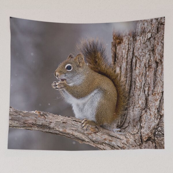 Item preview, Red Squirrel designed and sold by Michael Cummings.