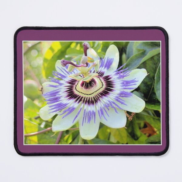 Item preview, Passion flower designed and sold by aapshop.