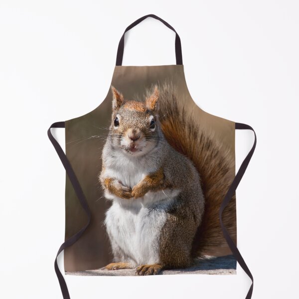 Item preview, Red Squirrel designed and sold by Michael Cummings.