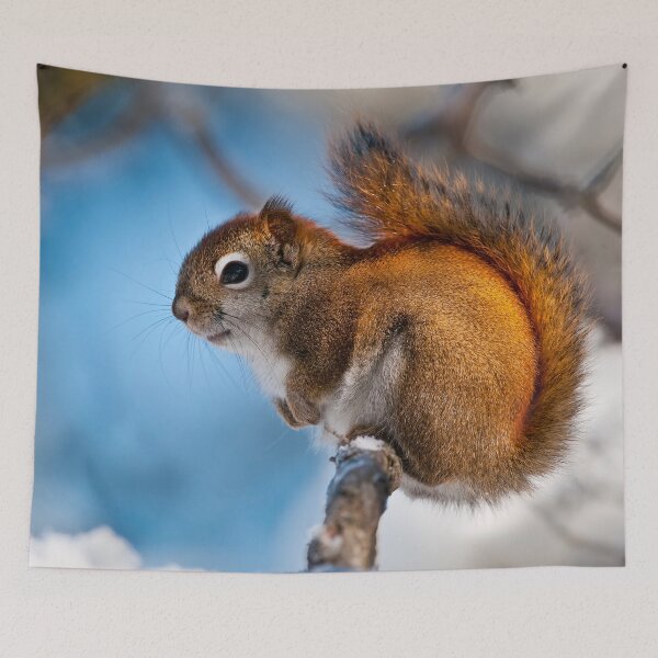 Item preview, Red Squirrel designed and sold by Michael Cummings.