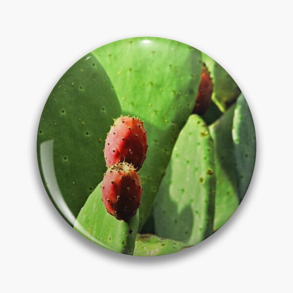 Artikelvorschau, Nopal Feigenkaktus Reifer Fruchtkaktus entworfen und verkauft von worldways.