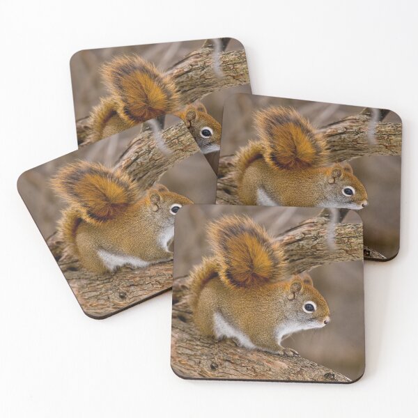 Item preview, Red Squirrel designed and sold by Michael Cummings.