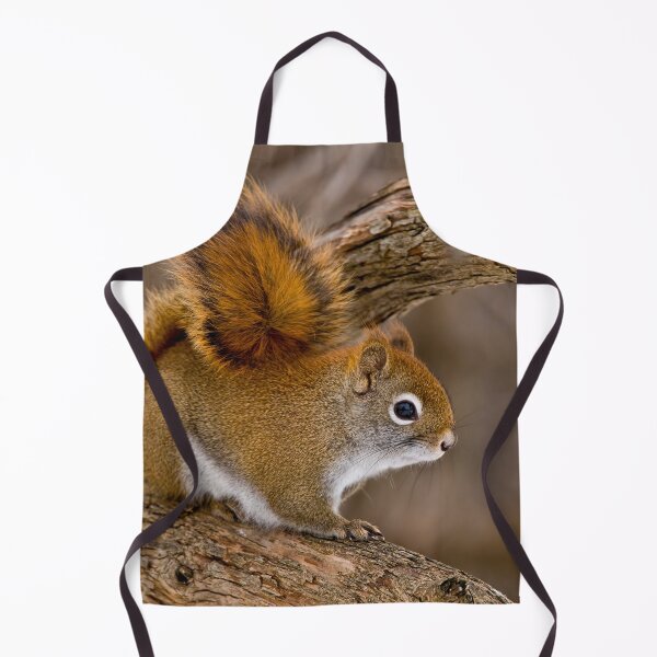 Item preview, Red Squirrel designed and sold by Michael Cummings.