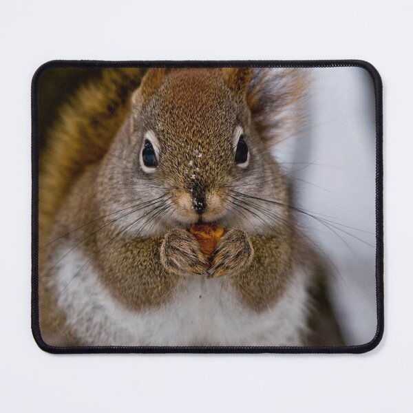 Item preview, RedSquirrel designed and sold by Michael Cummings.