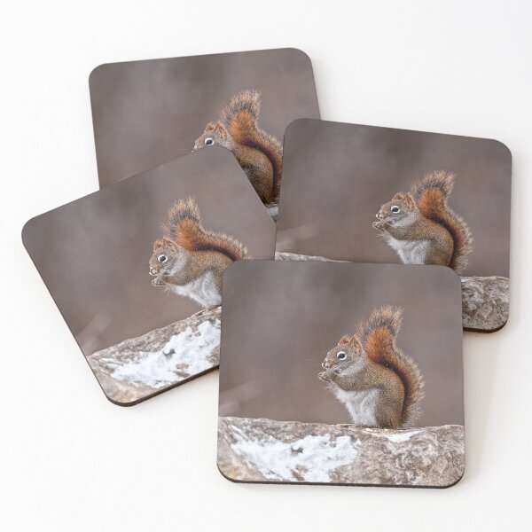 Item preview, Red Squirrel designed and sold by Michael Cummings.