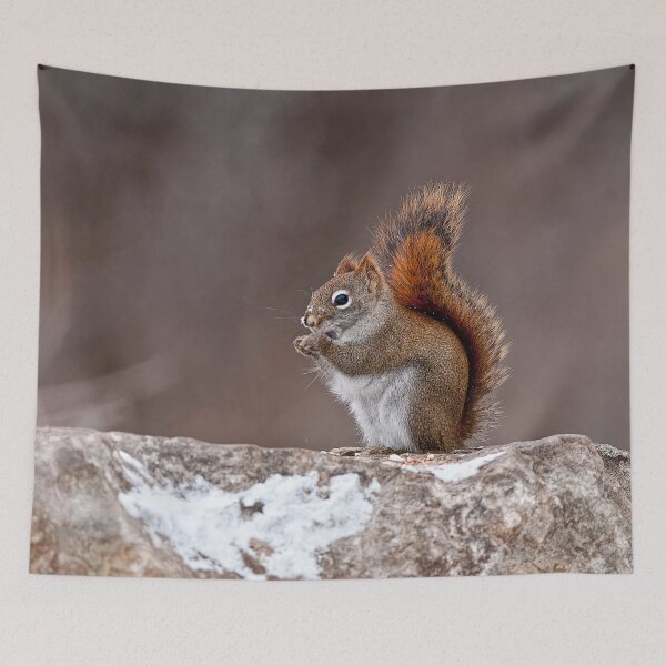 Item preview, Red Squirrel designed and sold by Michael Cummings.
