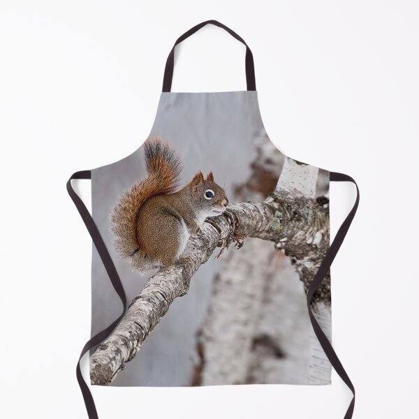 Item preview, Red Squirrel designed and sold by Michael Cummings.