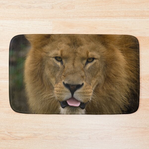 Item preview, Majestic Lion Sticking Out His Tongue designed and sold by rawshutterbug.