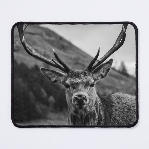 Item preview, Red Deer Stag with Antlers designed and sold by derekbeattie.