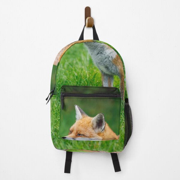 Item preview, Fox (Vulpes vulpes), a British native mammal designed and sold by Graham Prentice.