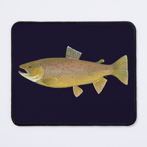 Item preview, Brown Trout (Salmo trutta) designed and sold by LeakyCanoeArt.