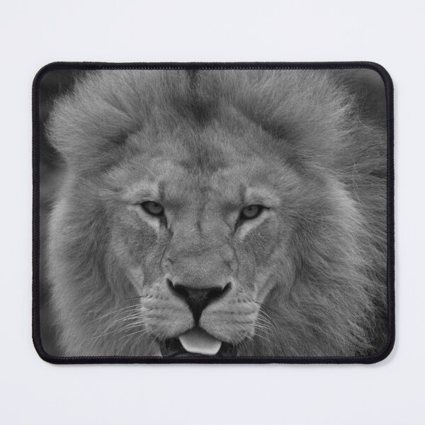 Item preview, Majestic Lion Sticking Out His Tongue Mono designed and sold by rawshutterbug.