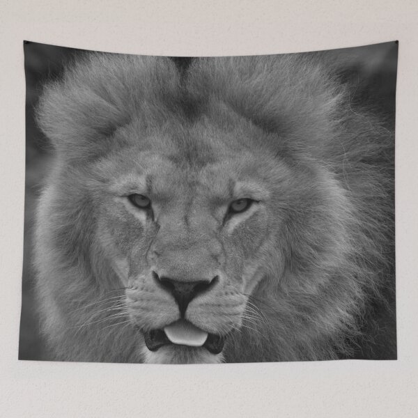 Item preview, Majestic Lion Sticking Out His Tongue Mono designed and sold by rawshutterbug.