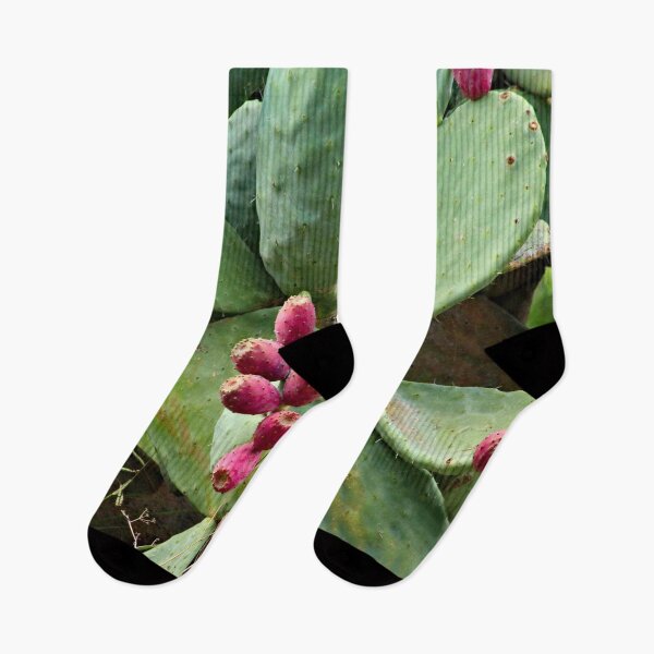 Item preview, Old Prickly Pear  Cactus Ripe Fruit  designed and sold by worldways.