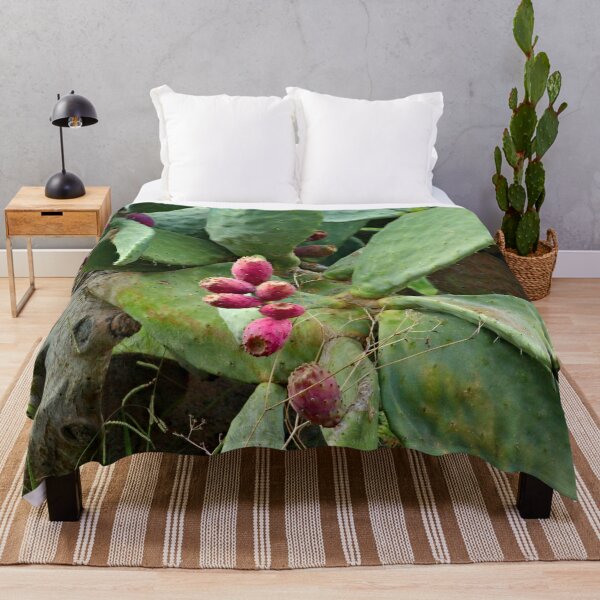 Item preview, Old Prickly Pear Cactus Ripe Fruit designed and sold by worldways.
