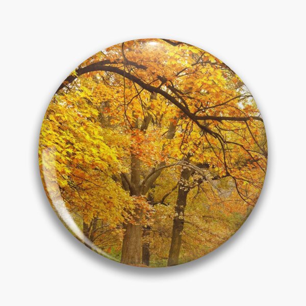 Artikelvorschau, Die Herrlichkeit des Herbstes entworfen und verkauft von Journeys of Faith.