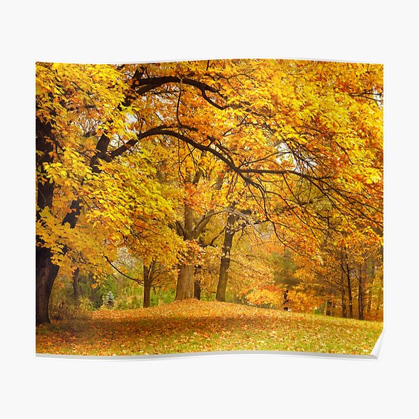 The Glory of Autumn Poster