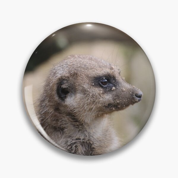 Artikelvorschau, Meerkat 072 entworfen und verkauft von JAMFoto.
