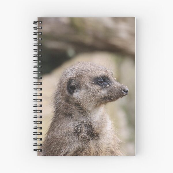 Item preview, Meerkat 072 designed and sold by JAMFoto.