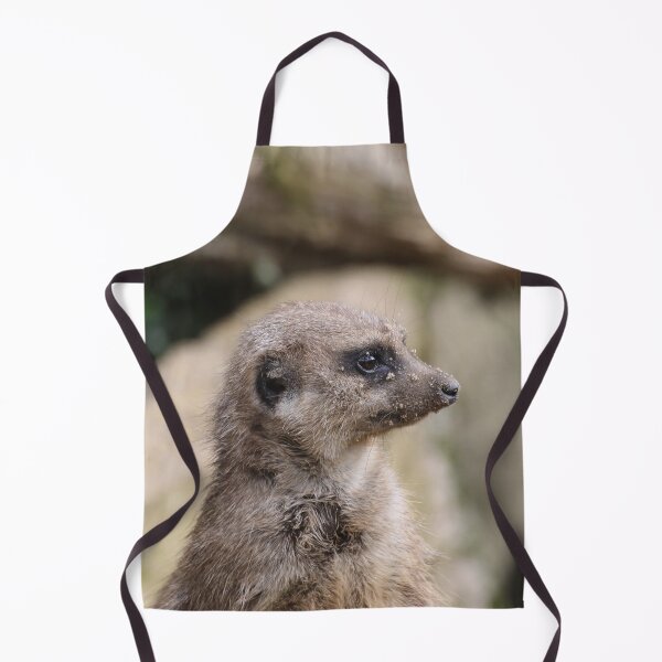 Item preview, Meerkat 072 designed and sold by JAMFoto.