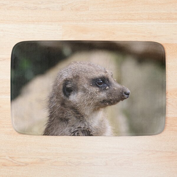 Item preview, Meerkat 072 designed and sold by JAMFoto.