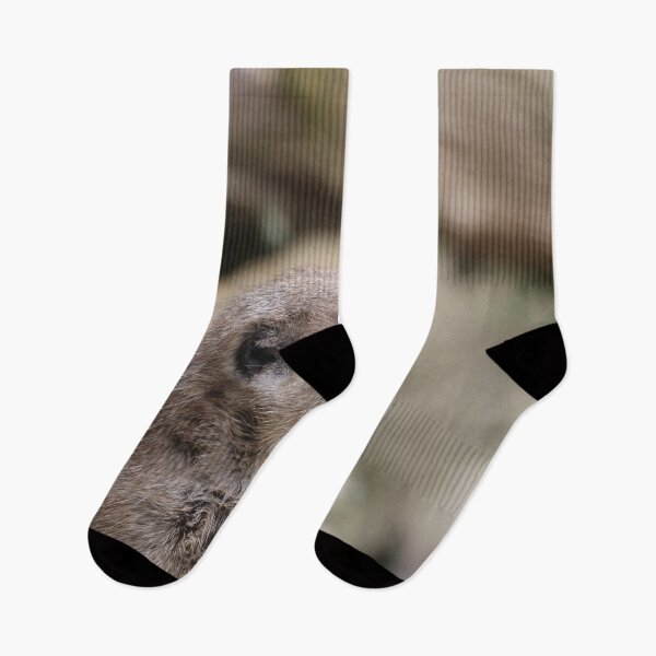 Item preview, Meerkat 072 designed and sold by JAMFoto.