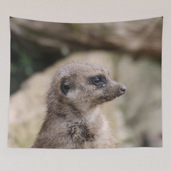 Item preview, Meerkat 072 designed and sold by JAMFoto.