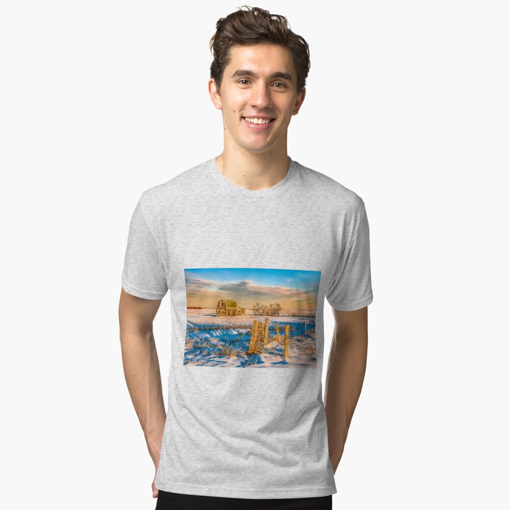 Item preview, Tri-blend T-Shirt designed and sold by jwwalter.