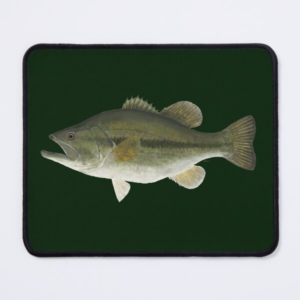 Item preview, Largemouth Bass (Micropterus salmoides) designed and sold by LeakyCanoeArt.