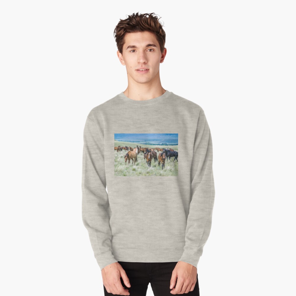 Item preview, Pullover Sweatshirt designed and sold by jwwalter.