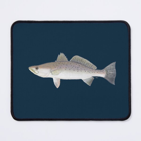 Item preview, Spotted Trout (Cynoscion nebulosus) designed and sold by LeakyCanoeArt.